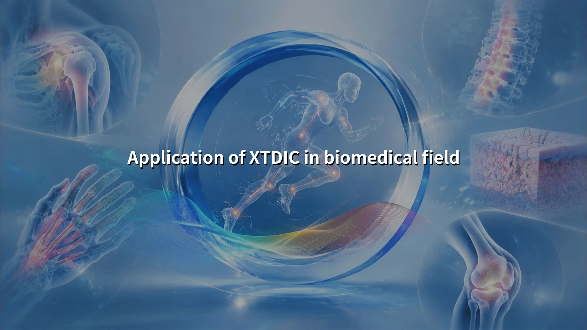 XTDIC, biomedical, biomechanics, 3D measurement, DIC system, bone strain, biomaterials, XTOP3D.