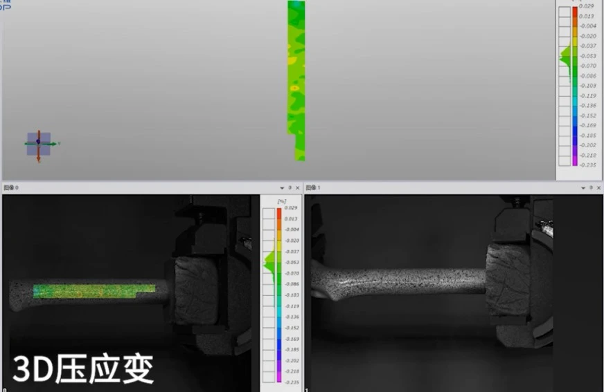三维全场应变测量系统用于骨骼材料压缩全场应变测量