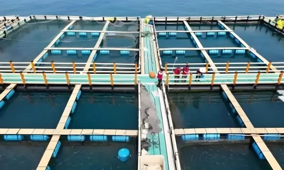 水下渔网水流加载下变形监测场景