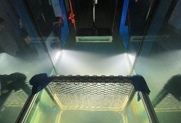 新拓三维DIC技术用于隔玻璃介质水下渔网高精度变形测量